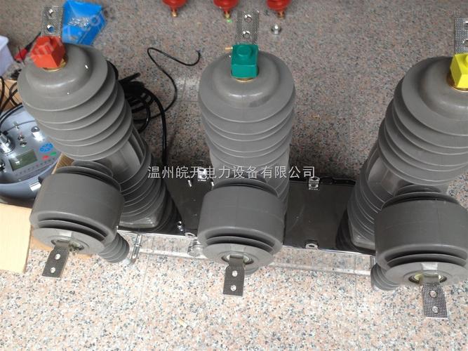 zw3224f真空断路器生产厂家温州皖开电力设备